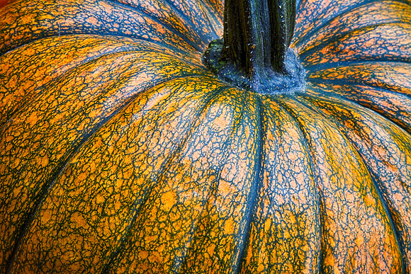 Pumpkin_Pumpkin