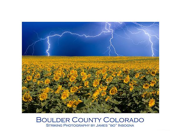 sunfower-lightning-post