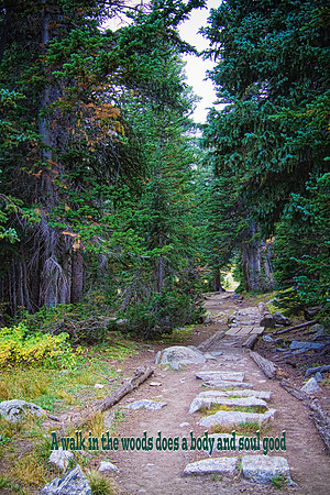 Rocky Mountain Walk in the Woods Does a Body and Soul Good