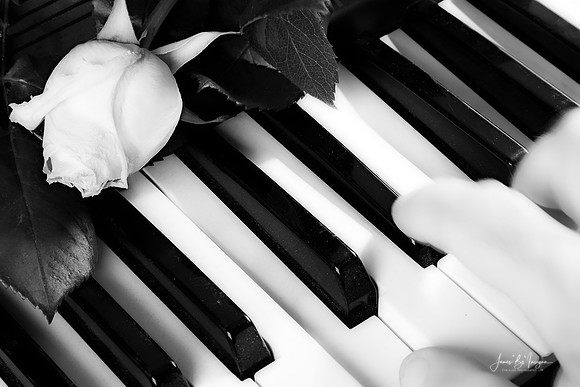 Piano-BW