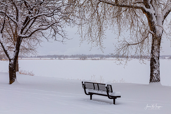 Fresh Fallen Snow