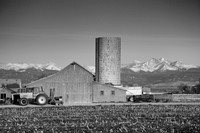 Colorado_Farming-bw