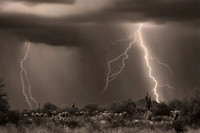 IMG_7387-sepia
