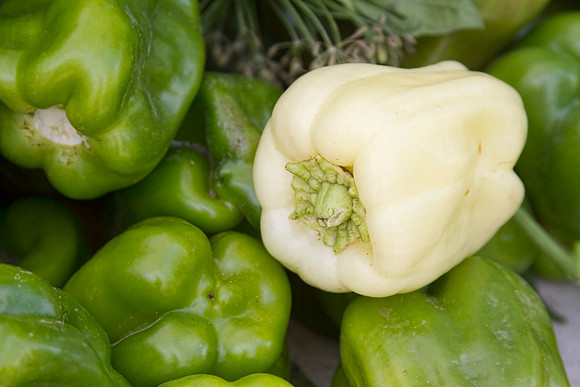Albino-Bullnose-Pepper